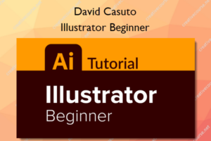Illustrator Beginner