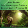 Color Correcting and Creating a Cinematic Look in Photoshop CC