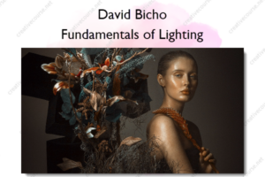 Fundamentals of Lighting