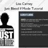 Just Blend If Mode Tutorial – Lisa Carney