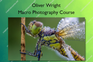 Macro Photography Course – The School of Photography – Oliver Wright